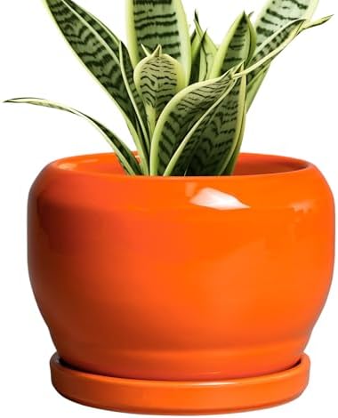 SQOWL Ceramic Plants Pots - 6 Inch Planter Indoor with Drainage Hole and Plant Saucer, Modern Round Planter Outdoor, Decorative Succulent Pot, Home Decor, Housewarming Gifts, Orange by SQOWL