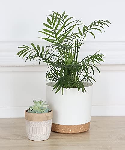 kubvici Indoor Plant Pots Planters 8 inch Plastic Planter (White x 3 Pack) - Image 2