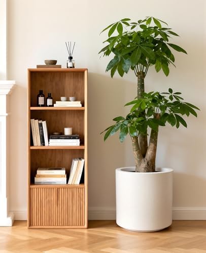 homenote 13.2 Inch Large Plant Pot with Drainage Plug for Indoor Use - Image 4