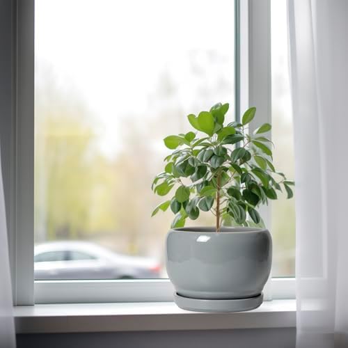 SQOWL Ceramic Pot for Plants - 8 Inch Plant Pot Indoor with Drainage Hole and Saucer, Round Planter Outdoor, Decorative Modern Planter for Flower, Bedroom Decor, Plant Lovers Gifts, Gray - Image 4