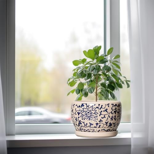 SQOWL Ceramic Planters for Indoor Plants - 8 inch Plant Pot with Drainage Hole and Saucer, Decorative Flower Pot Outdoor, Porcelain Round Planter, Living Room Decor, Gardening Gifts, Blue and Beige - Image 4