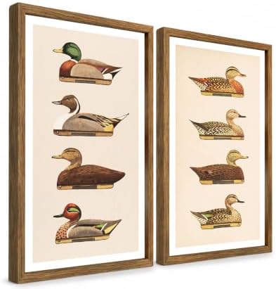 Vintage Duck Wall Art Set of 2 Framed, Waterfowl Bird Prints by Unknown