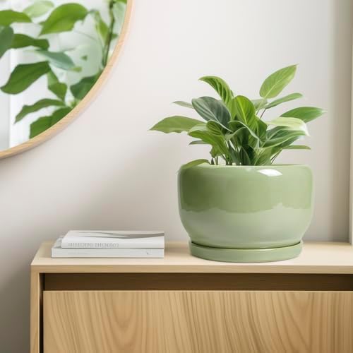 SQOWL Ceramic Planter - 10 Inch Pot for Plants Indoor Outdoor, Round Modern Flower Pot with Drainage Hole and Saucer, Decorative Large Planter, Office Decor, Plant Lovers Gifts, Green - Image 7