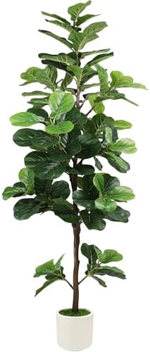 6FT Artificial Fiddle Leaf Fig Tree with White Planter & Fake Moss, Realistic Faux Ficus Lyrata Floor Plant for Indoor Home Office Decor, Housewarming Gift by PEPEUNI