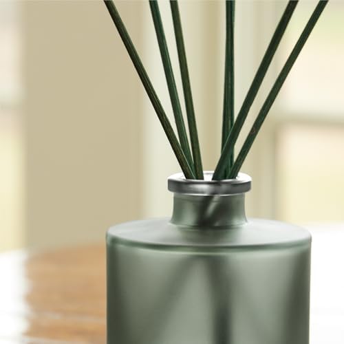 Thymes Petite Oil Reed Diffuser Set – Includes Reed Diffuser Sticks, Fragrance Oil, & Glass Bottle – Luxury Home Decor – Holiday Decor – Winter Scents – Sage-Green (Highland Frost, 4 fl oz) - Image 5