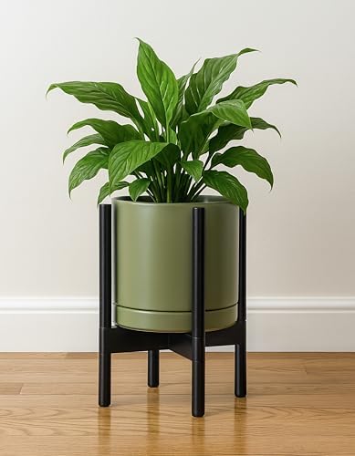 D'vine Dev Ceramic Pot with Ebony Wood Stand, Olive, 10 in, 55-B-L-J - Image 6
