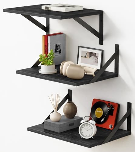 Forbena 12 Inch Deep Floating Shelves for Wall, Wide Black Wall Mounted Shelves for Bedroom Office Books Plants, Large Hanging Shelf for Living Room Bathroom Kitchen Closet Pantry Storage (3-Pack) by Forbena