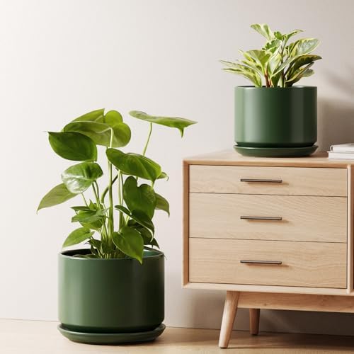 LE TAUCI Ceramic Plant Pots, Set of 2, 8+10 Inch, Forest Green by LETAUCI