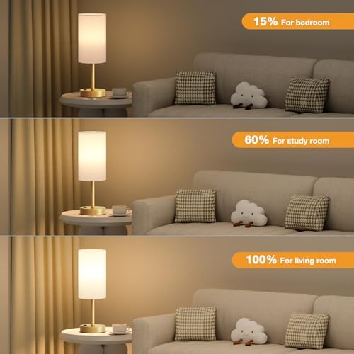 Fenmzee 17.4" Gold Lamp for Bedroom - Dimmable Touch, USB A+C, AC Outlet - Image 4