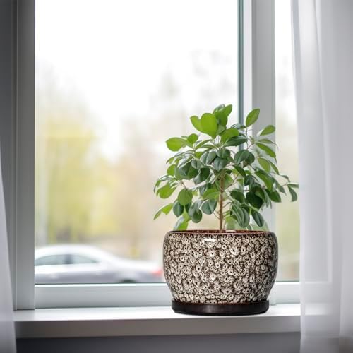 SQOWL Ceramic Planter - 8 inch Plant Pot Indoor with Drainage Hole and Plant Saucer, Round Ceramic Flower Pots Outdoor, Decorative Modern Planter, Office Kitchen Decor, Gifts for Women Men, White - Image 4