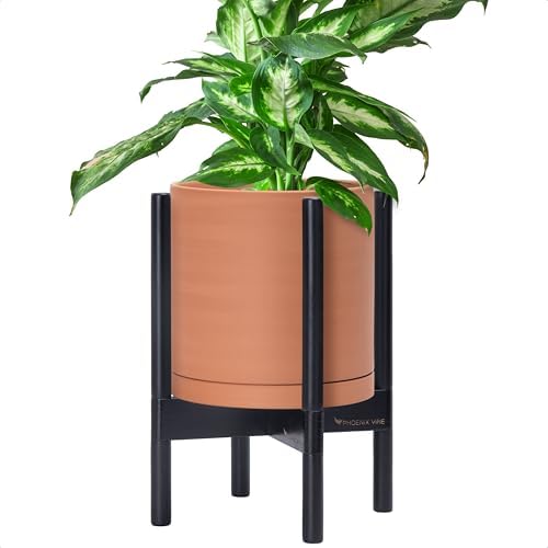 D'vine Dev Terracotta Pot with Ebony Wood Stand, 10 in, 55-B-L-5 by DvineDevPlanterPotsandStand