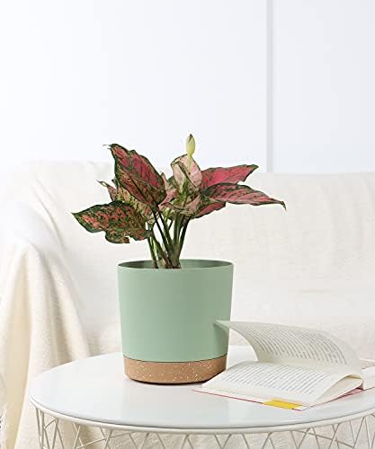 kubvici Indoor Plant Pots Set of 2 Planters 8 inch Plastic Planter with Hole & Saucer Modern Decorative for Outdoor Garden Home (Green, 8 inch) - Image 2