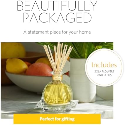 AGRARIA Monique Lhuillier Limone Scented AirEssence Diffuser, 7.4 Ounces with Reeds and Flowers - Image 2