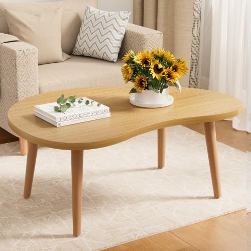 Small Coffee Table, Low Table with Solid Wood Legs, 23.6" Mini Mango Accent Table Side End Table, Floor Table Desk for Sitting on The Floor, Coffee Tea Table for Living Room, Dorm, Apartment, Natural by FURMORENE