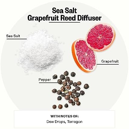 Apotheke Scented Reed Diffuser for Home, Sea Salt Grapefruit, 10 Sticks - Image 2