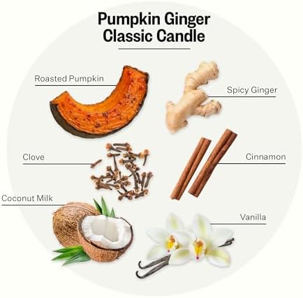 Apotheke Signature Scented Candles for Home, Pumpkin Ginger - 10.5 Oz - Image 2