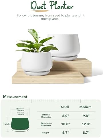 LE TAUCI Ceramic Plant Pots, 10 + 12 Inch, Set of 2, White - Image 5