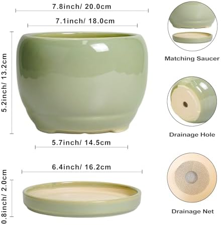 SQOWL 8 Inch Plant Pot - Ceramic Planters with Drainage Hole and Tray, Round Flower Pot for Indoor Plants, Modern Decorative Planters Outdoor, Garden Decor, Housewarming Gifts, Green - Image 3