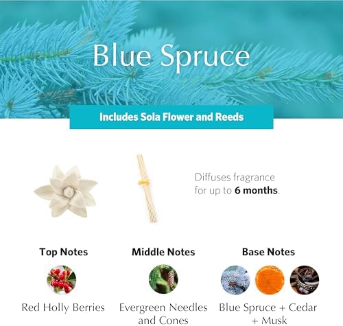 Agraria PetiteEssence Flower and Reed Diffuser Set, 1.7 oz, Handcrafted Sola Flower Botanical Scent Diffuser for Home, Scented Oil Gift Set - Image 3