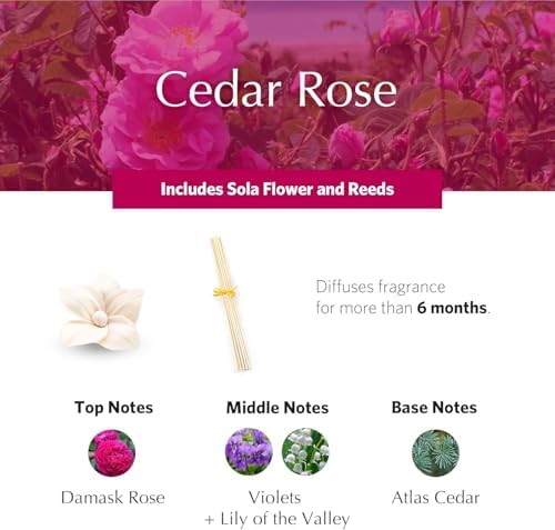 Cedar Rose Holiday PetiteEssence Diffuser, 1.7oz - Image 3