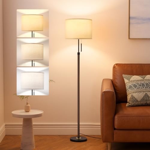 Ambimall Height Adjustable Modern Floor Lamp, Brown & Black by Ambimall