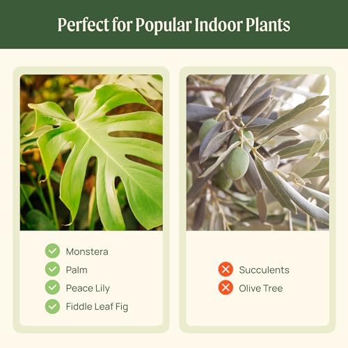 15 Inch Self-Watering Planter for Indoor Plants – Large Modern Plant Pot with Built-In Water Reservoir, Ideal for Monstera, Fiddle Leaf Fig, Palms & Peace Lily, Without Trellis (1, Fog Gray) - Image 4