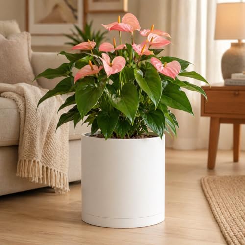 Giraffe Creation 14 Inch Cylinder Plant Pot, Modern Round Planter with Drainage Holes and Saucer, Durable Plastic Flower Pot for Indoor Outdoor Plants, White - Image 2