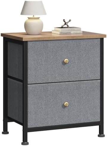DUMOS Nightstand, Bedside Table for Bedroom, 2 Drawers Fabric Storage Chest by DumosLifestyle