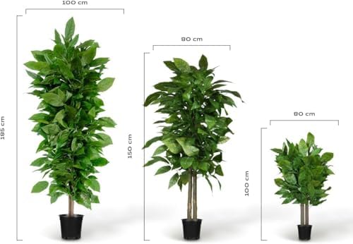 Blaine - Fake Mango Tree 3 FT Lifelike Faux Plant for Living Room Decor - Image 2