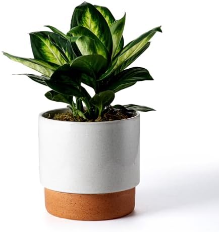 8 Inch Ceramic Self Watering Planter with Drainage Hole, Grey by Chubacoo