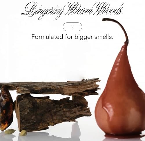 Boy Smells Reed Diffuser – Home Fragrance with Up to 60-Day Scent Diffusion - Image 4
