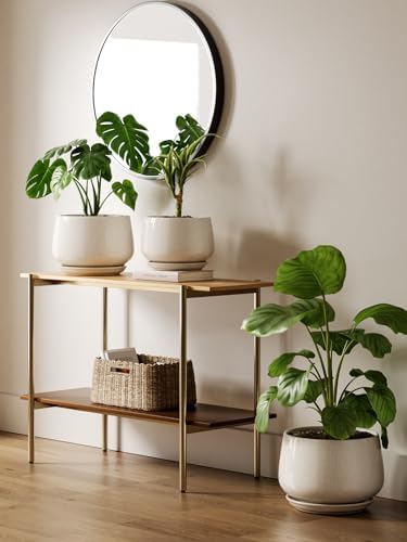 LE TAUCI Ceramic Planter, 12 Inch, Large Plant Pot, Reactive Glaze Beige - Image 4