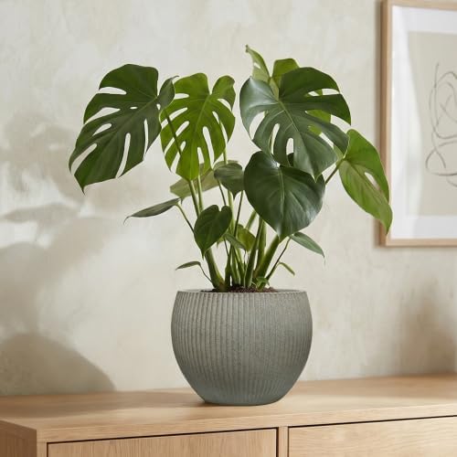 10.2"Dia x 7.8"H Modern Ribbed Plastic Planter Pot with Drainage - Image 2