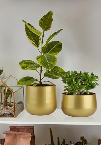 Vixdonos Gold Metal Flower Pots Brass-Toned Garden Planters, 7.1/6.3 Inch Indoor Round Succulent Containers, Pack 2 Cactus Plant Pots with Drainage Hole - Image 5