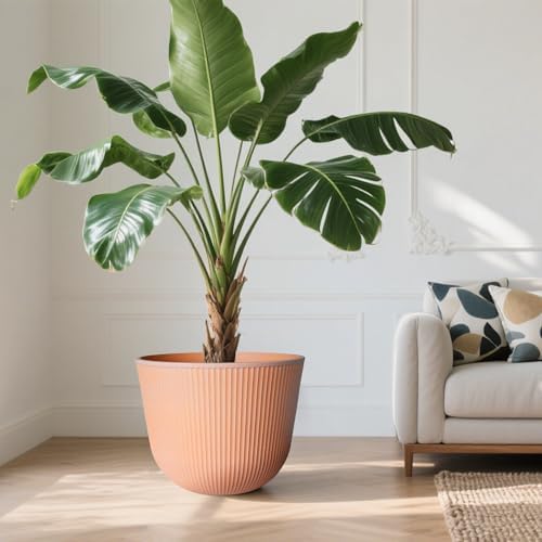 Worth Garden Round Large Planter Pot 1-Pack, 17.5" Dia x 15.5" H - Durable Plastic Terracotta Plant Tree Pots with Vertical Stripe Textured Finish, Drainage Hole for Indoor Outdoor Front Porch Patio - Image 6