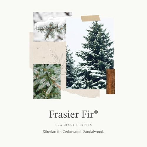 Thymes Frasier Fir Reed Diffuser Set – Includes Reeds, Fragrance Oil, and Frosted Glass Bottle – Fragrance Oil Diffuser – Room Fresheners – Luxury Home Decor – Green & Clear (Pine Needle, 7.75 fl oz) - Image 3
