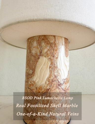 BSOD Pink Shell Marble Lamp Stone Lamps - Fossil Marble Table Bedside Cordless Luxury Cute Design Bedside Lamp for Home Decor, Bedroom, Living Room & Gifts (Rechargeable Pink Lumachella Lamp) - Image 3