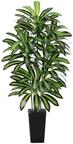 Artificial Dracaena Tree 5FT / Black Planter, Tall Plants Indoor by FSOHOI