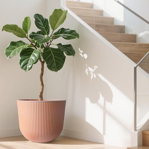 Worth Garden Round Large Planter Pot 1-Pack, 17.5" Dia x 15.5" H - Durable Plastic Terracotta Plant Tree Pots with Vertical Stripe Textured Finish, Drainage Hole for Indoor Outdoor Front Porch Patio - Image 5