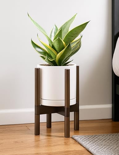 D'vine Dev Ceramic Pot with Walnut Wood Stand, Oatmeal, 8 in, 55-B-Y-8 - Image 6