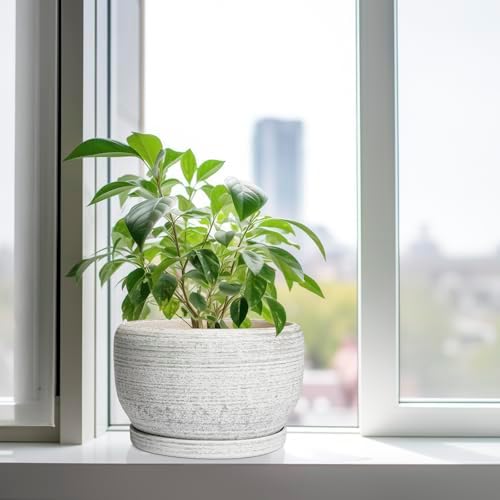 SQOWL Ceramic Flower Pots - 10 Inch Plant Pot Indoor with Drainage Hole and Saucer, Modern Ceramic Planter Outdoor, Decorative Large Round Planter, Bedroom Decor, Plant Lovers Gifts, Gray - Image 4