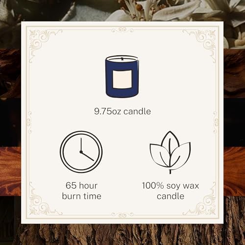 Hotel Lobby Paris Nuit Candle – Luxury Hand-Poured 9.75oz 100% Soy Wax with Black Musk, Wood, Rum, Mahogany, and Tobacco – Paraffin-Free, Infused with Essential Oils, 65-Hour Clean Non-Toxic Burn - Image 4