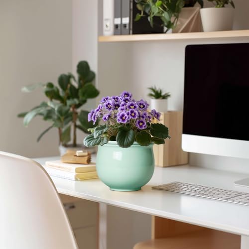 6 Inch African Violet Pots, Ceramic Self Watering Planter with Absorbent Inner Pot, Round Pots for Indoor Plants Outdoor, Ceramic Flower Pot, Office Decor, Plant Lover Gifts, Mint Green - Image 3