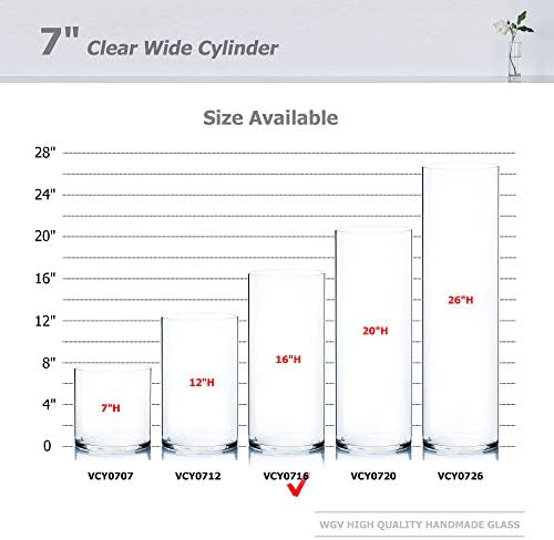WGV Cylinder Vase, Width 7", Height 16", Clear Wide Large Diameter Flower Glassware, Floral Container, Planter Terrarium for Wedding Party Event, Home Accent Decor, 1 Piece - Image 3