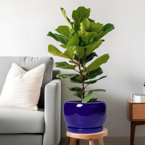 SQOWL Ceramic Plant Pot - 10 Inch Ceramic Planter for Indoor Outdoor, Round Flower Pot with Drainage Hole and Saucer, Modern Decorative Large Planter, Garden Decor, Plant Lover Gifts, Blue - Image 2