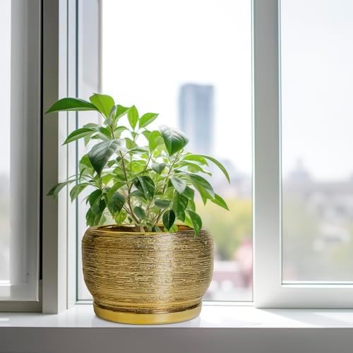 SQOWL Ceramic Planter for Indoor Plants - 10 Inch Plant Pot with Drainage Hole and Saucer, Modern Round Planter Outdoor, Large Decorative Flower Pot, Apartment Decor, Birthday Gifts, Gold - Image 4