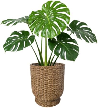 Rattan Planter, Woven Planter Basket for Plants Indoor Outdoor, Rattan Flower Pot, Decorative Plant Holder Basket for Garden Patio Boho Home Decor (Brown-Large:15.75" H x 13.4" W) by Unknown