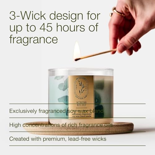 Bath & Body Works 3-Wick Candle, Eucalyptus Spearmint, 2 Pack - Image 4