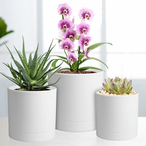 Meowell 7/6.5/6/5/4 inch Flower Pots, 5 Pack Cylinder Plant Pots for Small Indoor Outdoor Plants, Plastic Planters with Drainage Holes and Saucers for Garden Succulent Nursery House Plants, White - Image 5