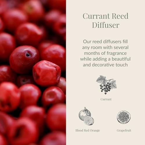 Archipelago Botanicals Currant Reed Diffuser, Includes Fragrance Oil, Decorative Wooden Cap and 10 Diffuser Reeds, Perfect for Home, Office or a Gift (7.85 fl oz) - Image 2